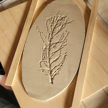 Load image into Gallery viewer, Cheese Platter - Saturday June 21st 2-4pm
